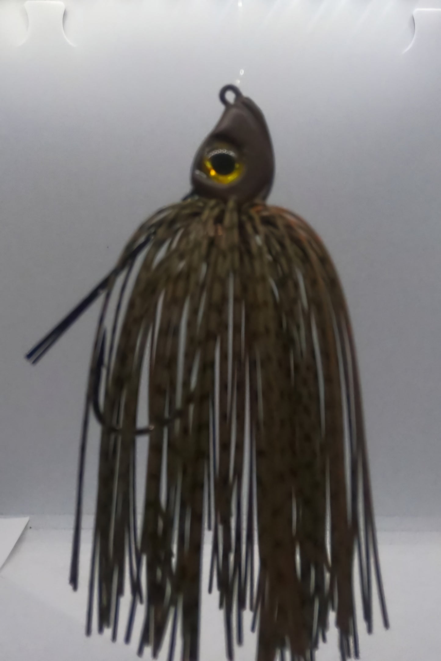 Paycheck swimjig
